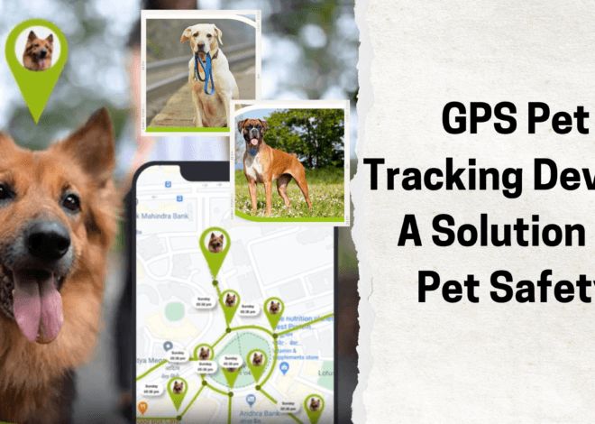 GPS Pet Tracking Device: A Solution to Pet Safety
