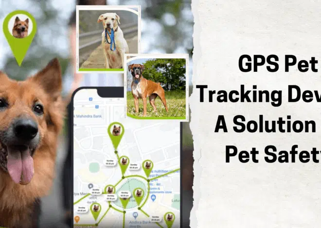 GPS Pet Tracking Device: A Solution to Pet Safety