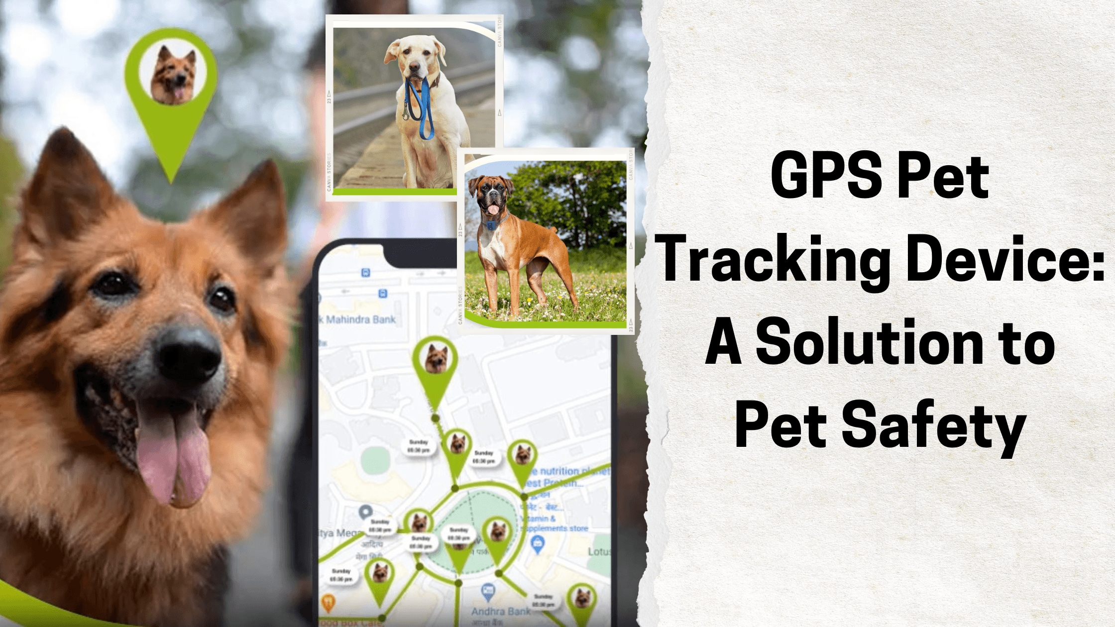 GPS Pet Tracking Device: A Solution to Pet Safety
