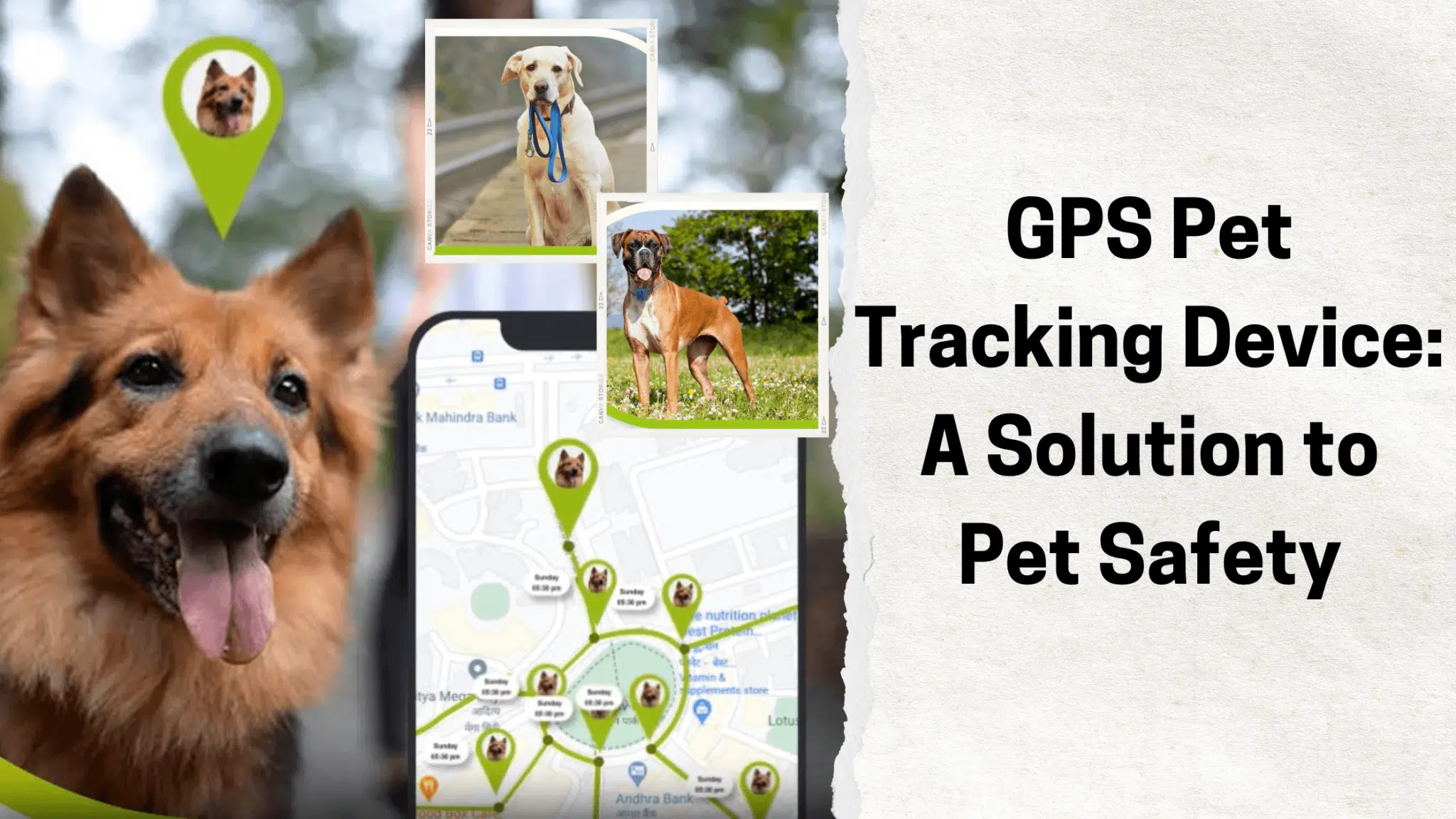 GPS Pet Tracking Device: A Solution to Pet Safety