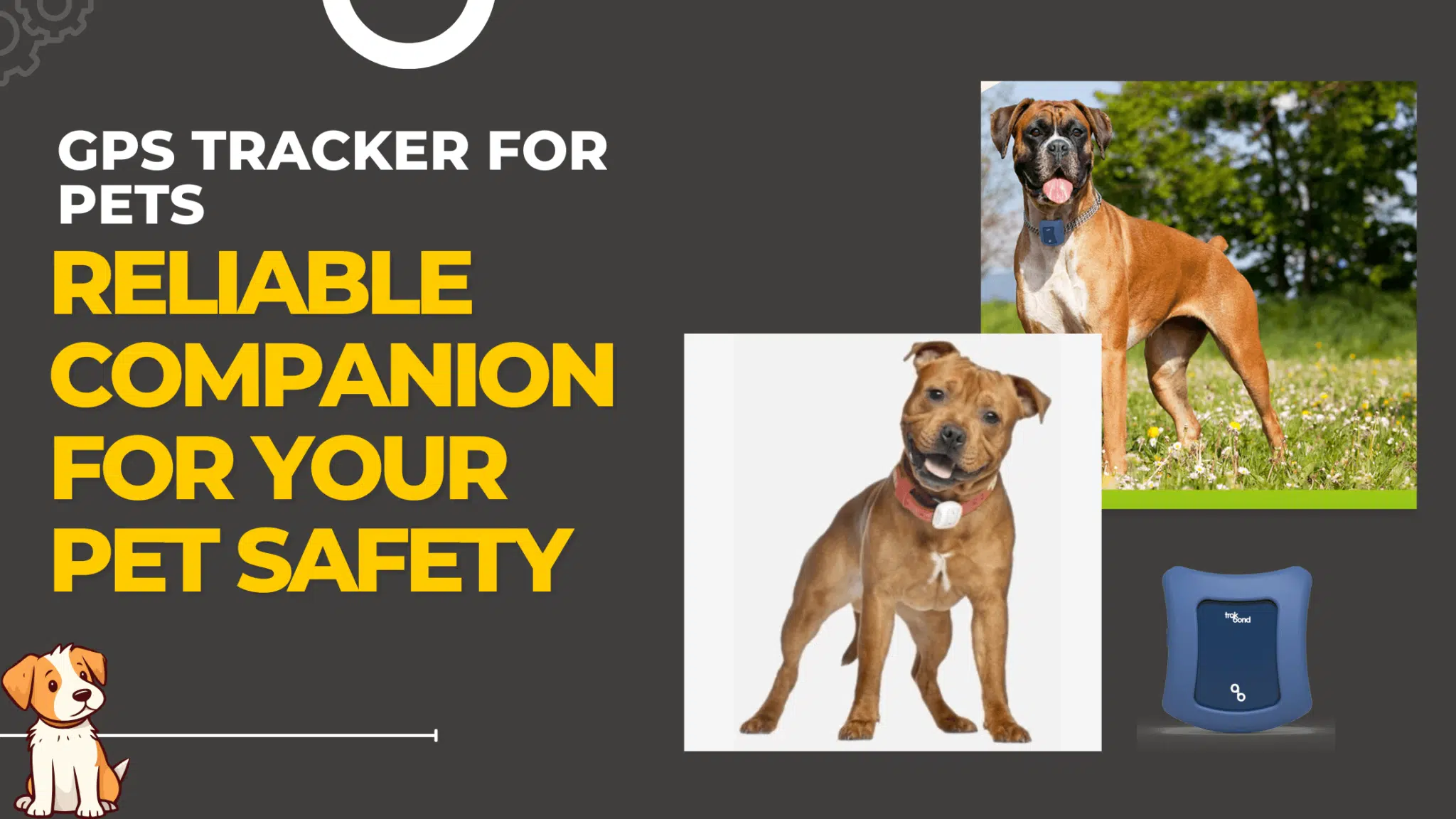 GPS Tracker for Pets: Reliable Companion for Your Pet Safety by Trakbond