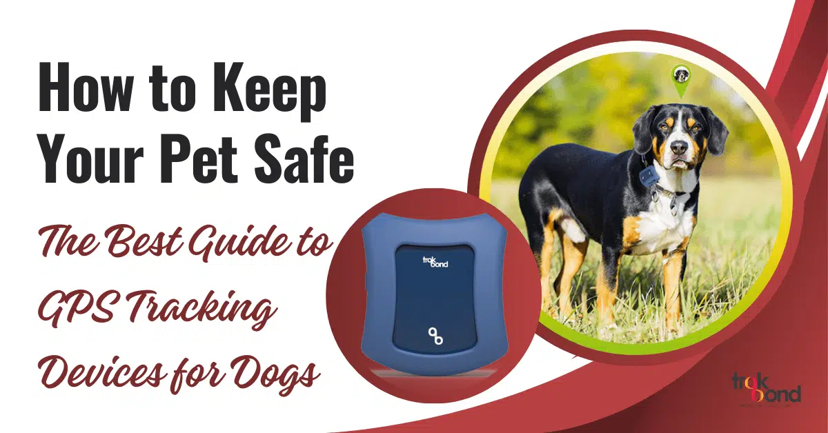 How to Keep Your Pet Safe: The Best Guide to GPS Tracking Devices for Dogs