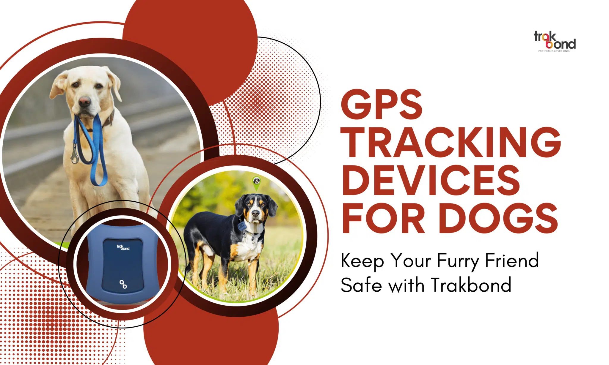GPS Tracking Devices for Dogs: Keep Your Furry Friend Safe with Trakbond