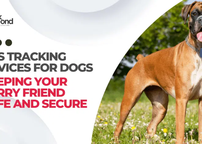 GPS Tracking Devices for Dogs: Keeping Your Furry Friend Safe and Secure
