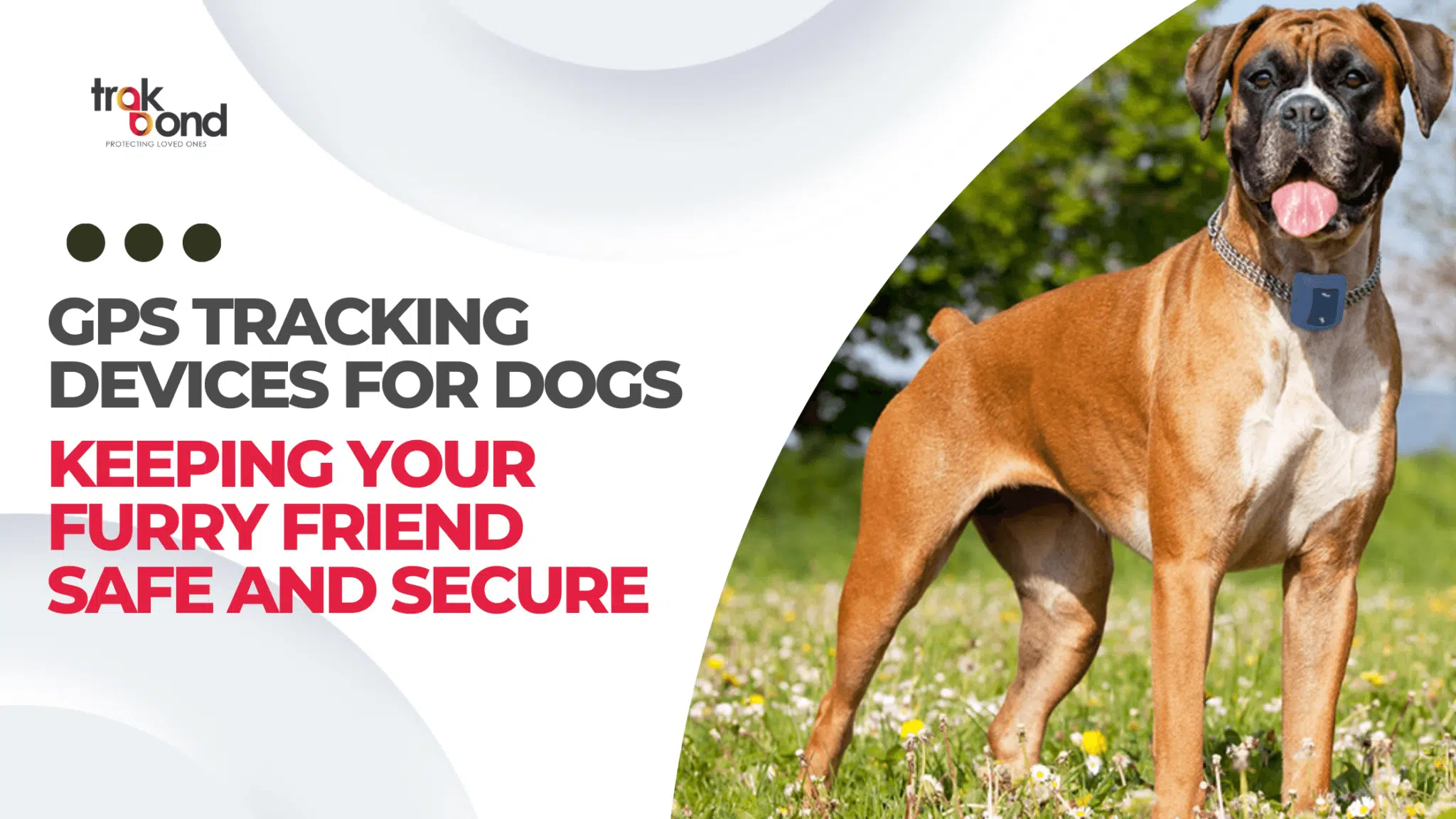 GPS Tracking Devices for Dogs: Keeping Your Furry Friend Safe and Secure