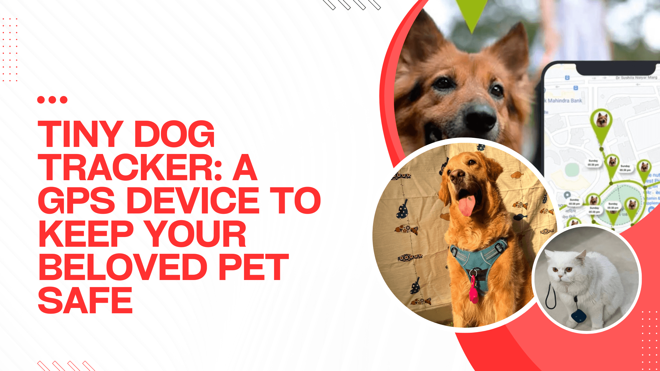 Tiny Dog Tracker: A GPS Device to Keep Your Beloved Pet Safe