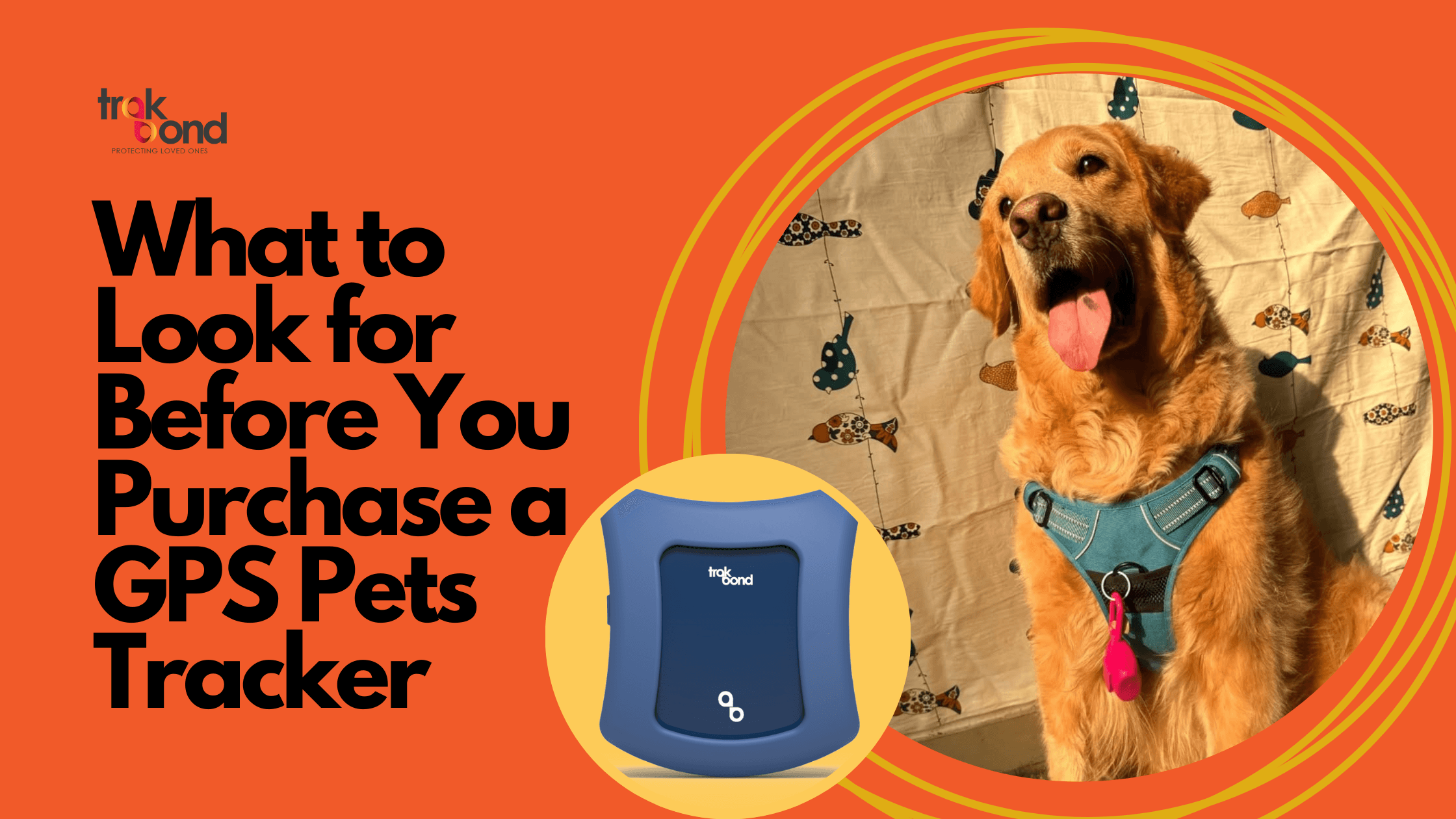 What to Look for Before You Purchase a GPS Pets Tracker