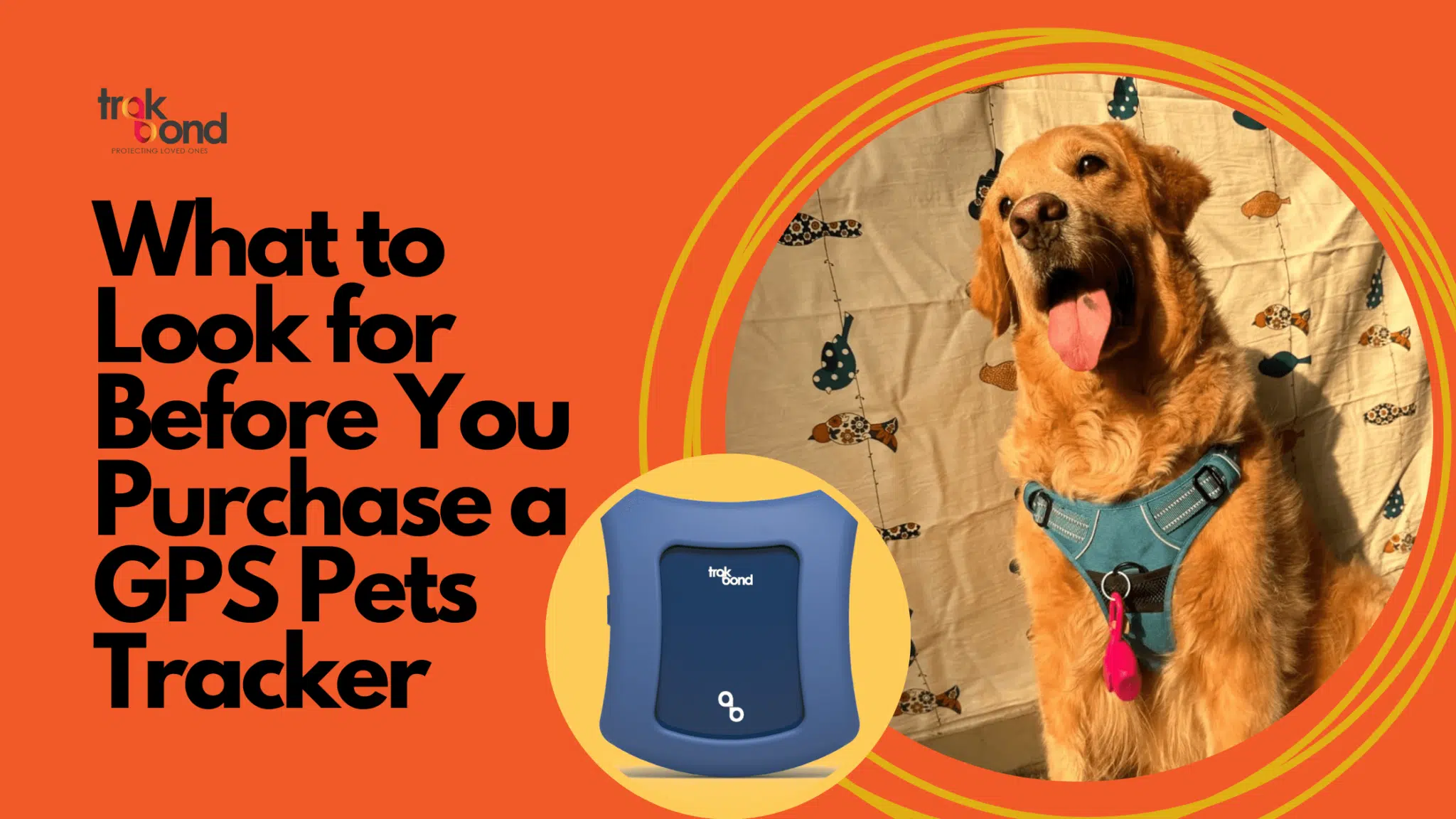What to Look for Before You Purchase a GPS Pets Tracker