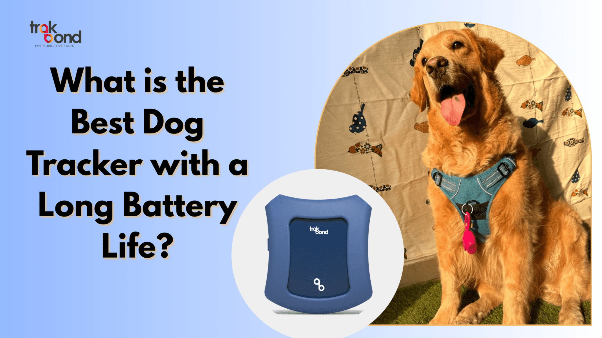 What is the Best Dog Tracker with a Long Battery Life?