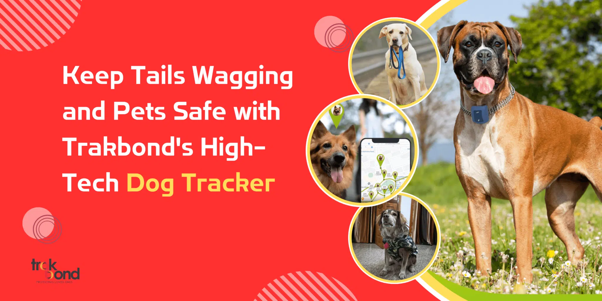 Keep Tails Wagging and Pets Safe with Trakbond’s High-Tech Dog Tracker