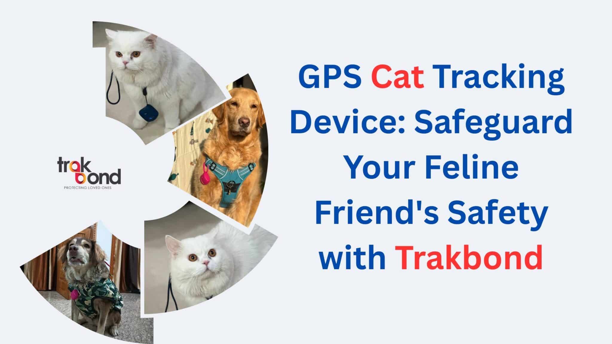 GPS Cat Tracking Device: Safeguard Your Feline Friend’s Safety with Trakbond