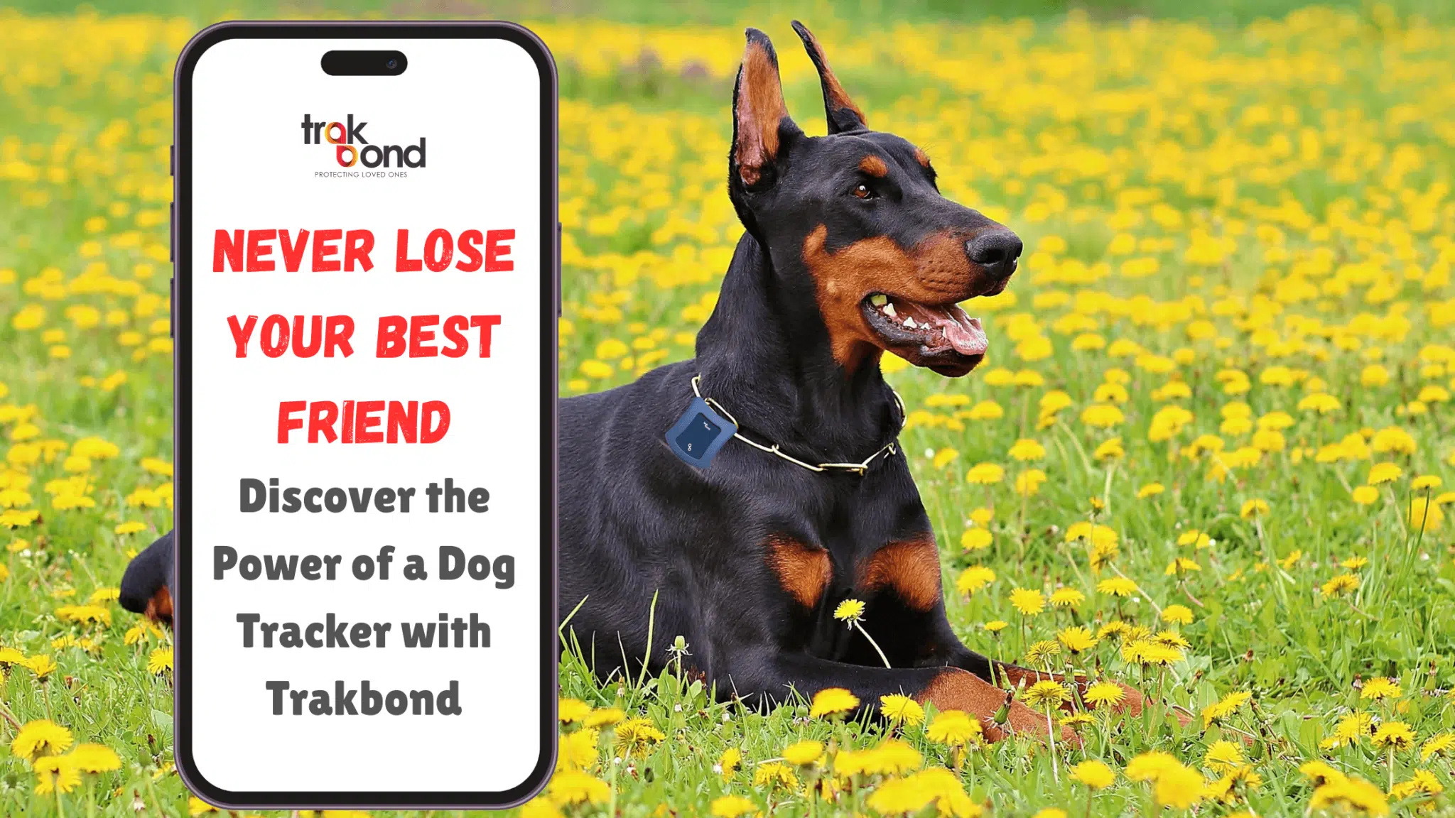 Never Lose Your Best Friend: Discover the Power of a Dog Tracker with Trakbond