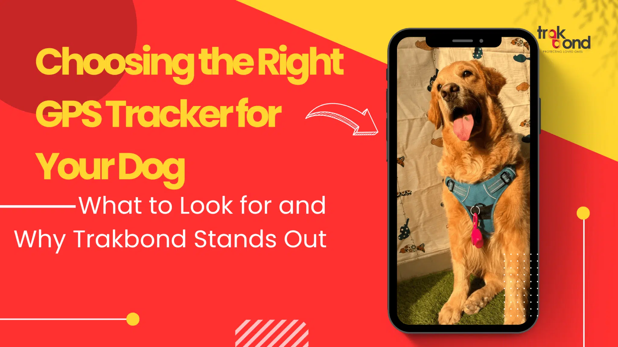 Choosing the Right GPS Tracker for Your Dog: What to Look for and Why Trakbond Stands Out
