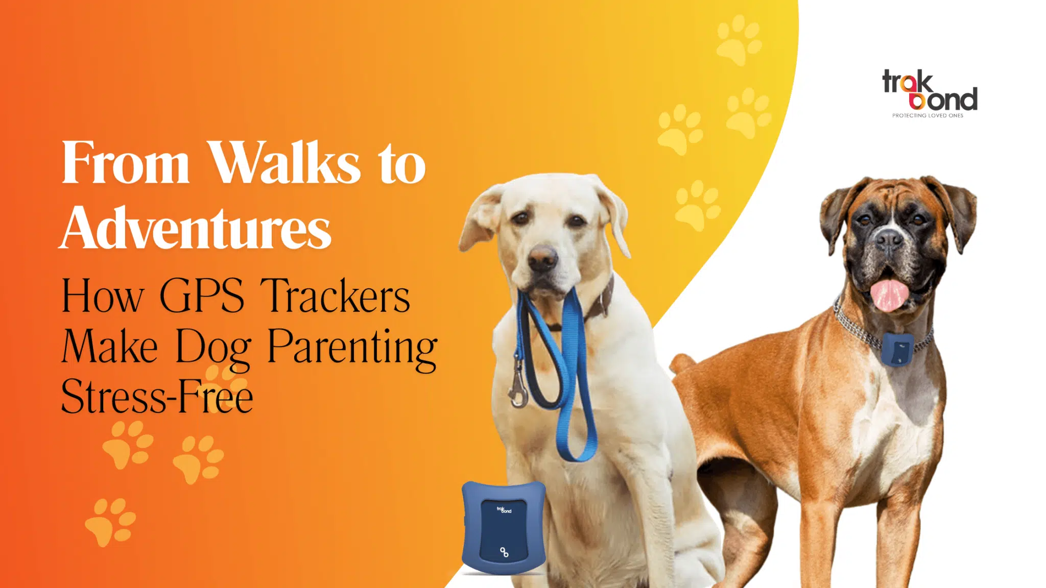 From Walks to Adventures: How GPS Trackers Make Dog Parenting Stress-Free