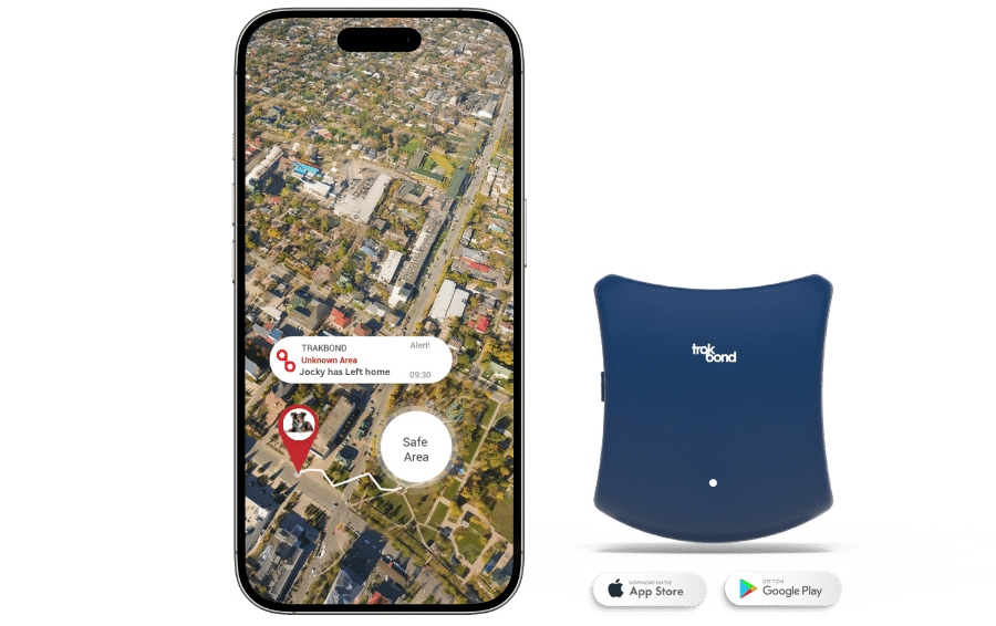 home pets banner with tracker and safezone
