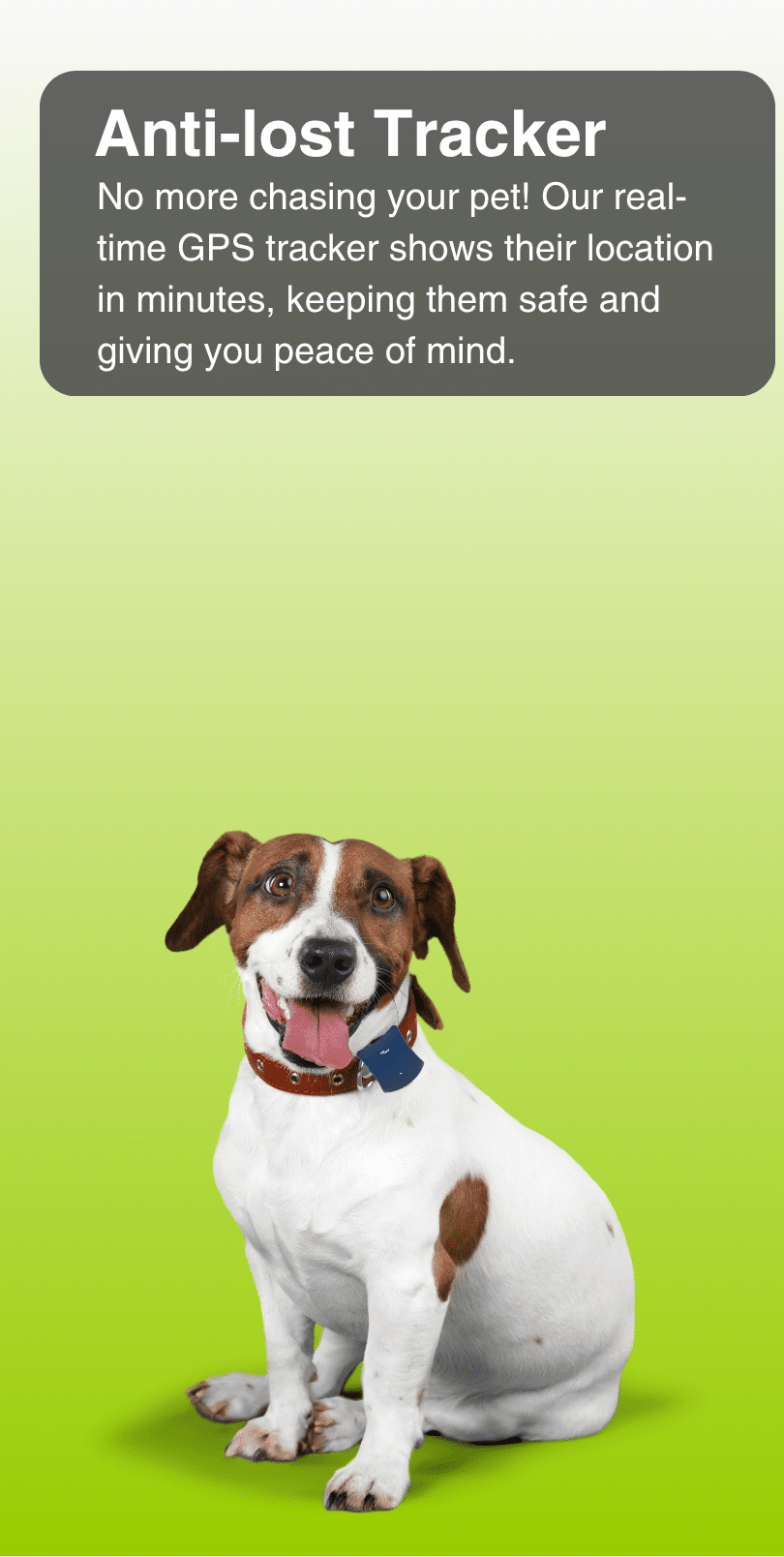pets antilost