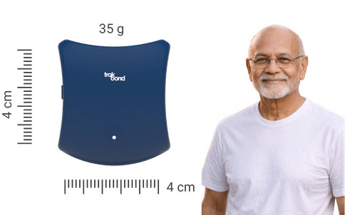 Website Elders Graphics 16