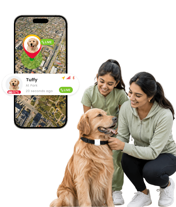 Device trackind app images 45
