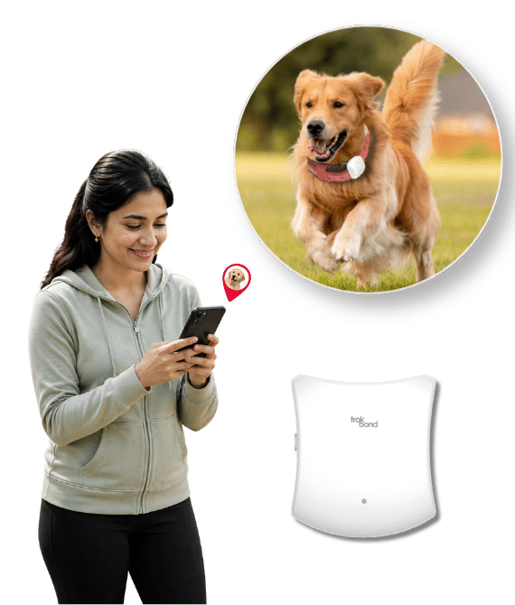 Device trackind app images 52