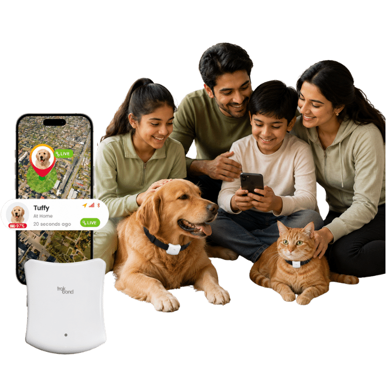 Device trackind app images 53