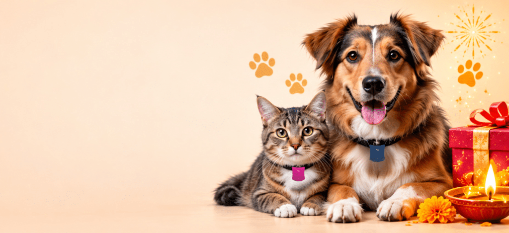 A dog and cat wearing Trakbond GPS trackers beside Diwali gifts and lamps